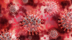 FLO-5_English: Serious Infectious Disease