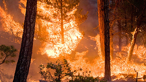 SM027_English: Planning For and Managing Natural Disasters